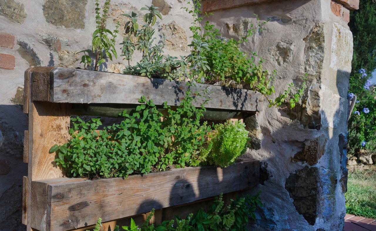 Dojo Bianco Bed & Breakfast Massa Marittima Exterior photo